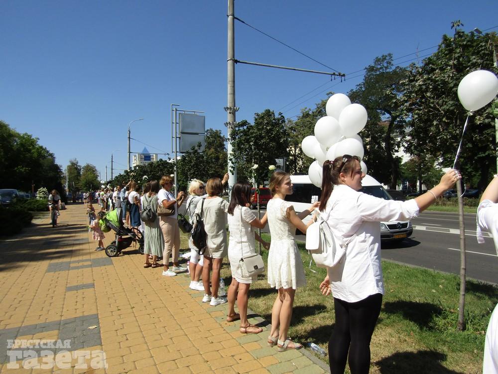 Цепь солидарности