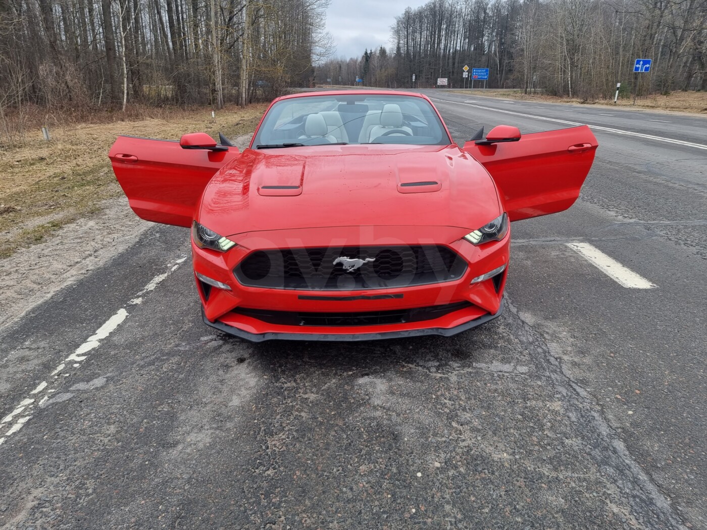 Ford Mustang VI за 29 999$. Фото: av.by.