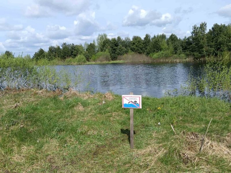 Место, в котором утонул житель Лунинецкого района. Фото: МЧС