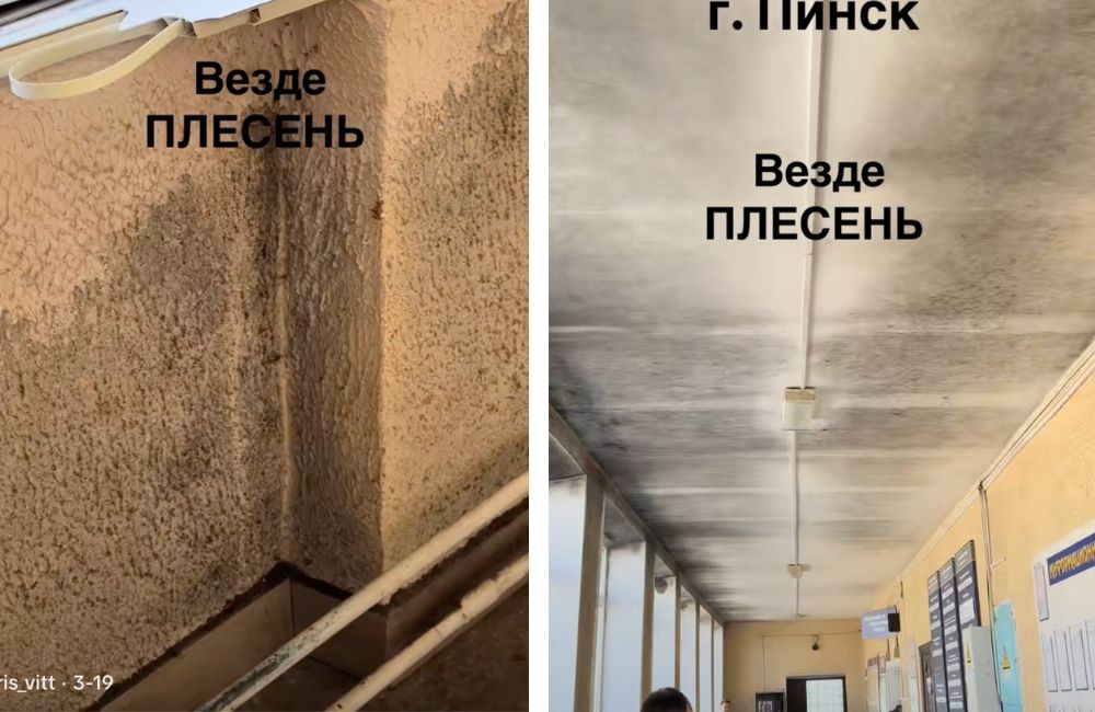 Скриншот из видео в TikTok.