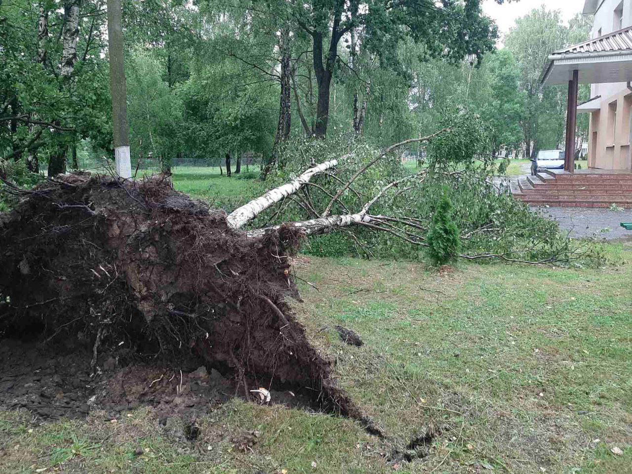 Последствия непогоды в Пинском районе. Фото: МЧС.