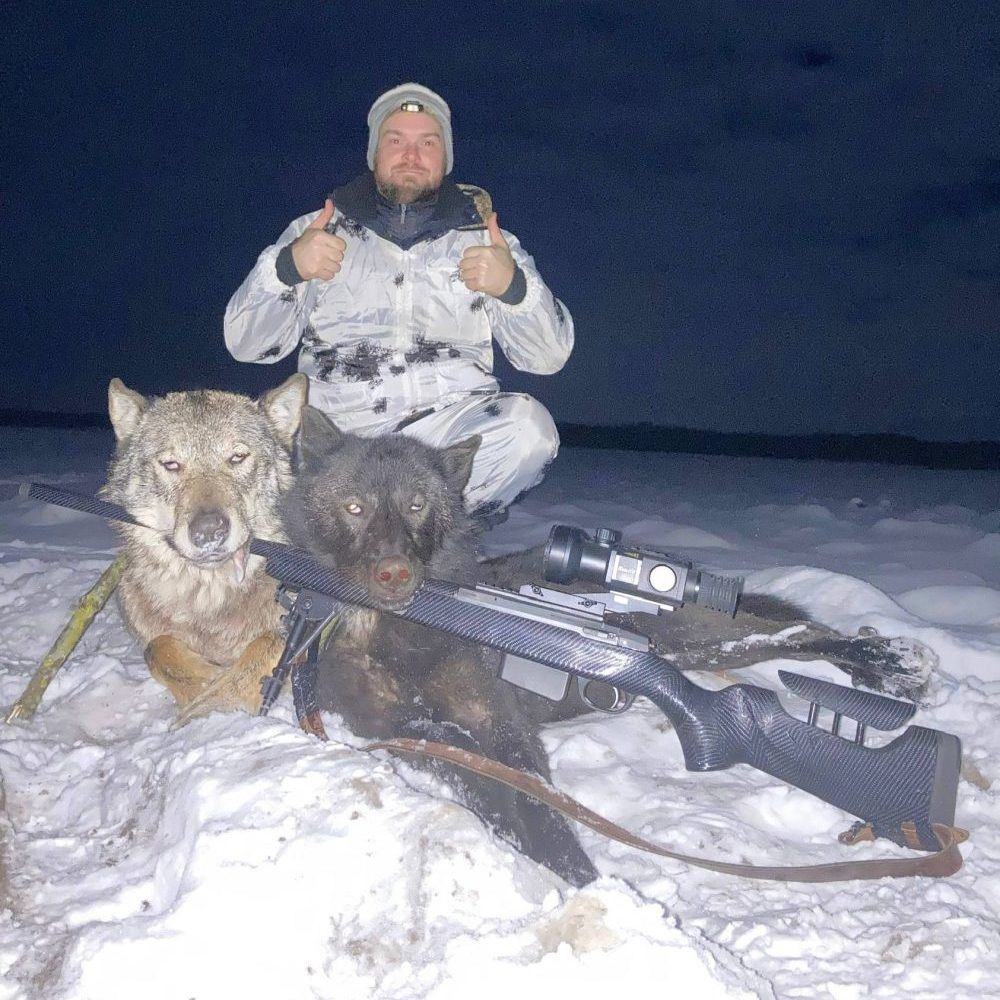 забілі ваўкоў