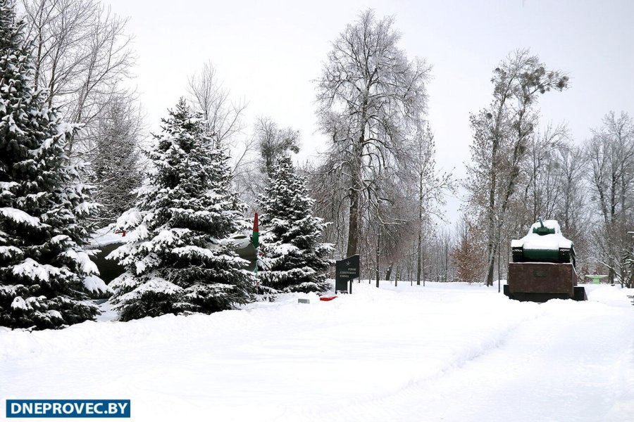 заснеженный парк 