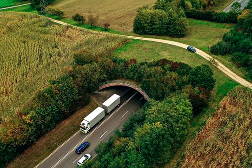 Экодук в Польше