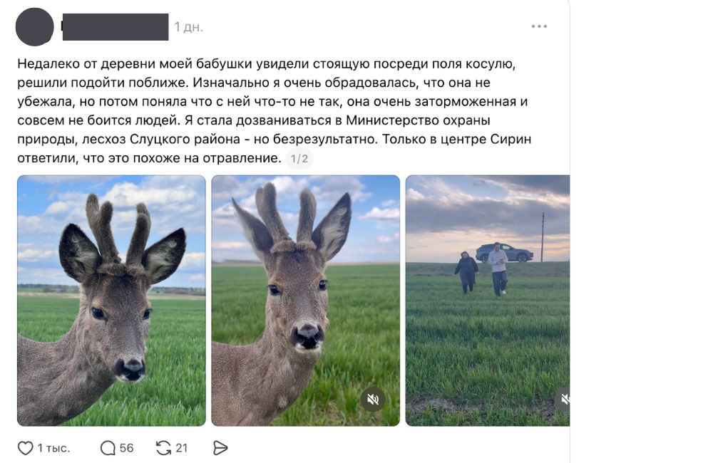 Скриншот с Threads