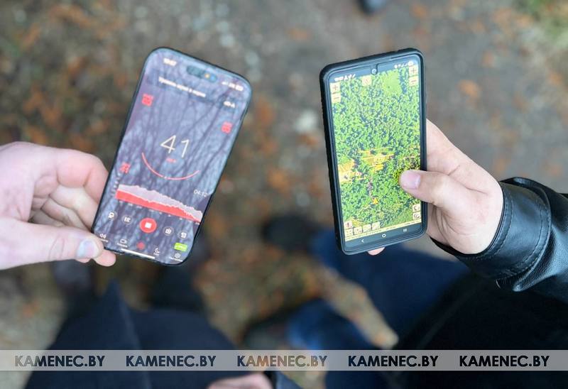 Уровень замера шума в Беловежской пуще