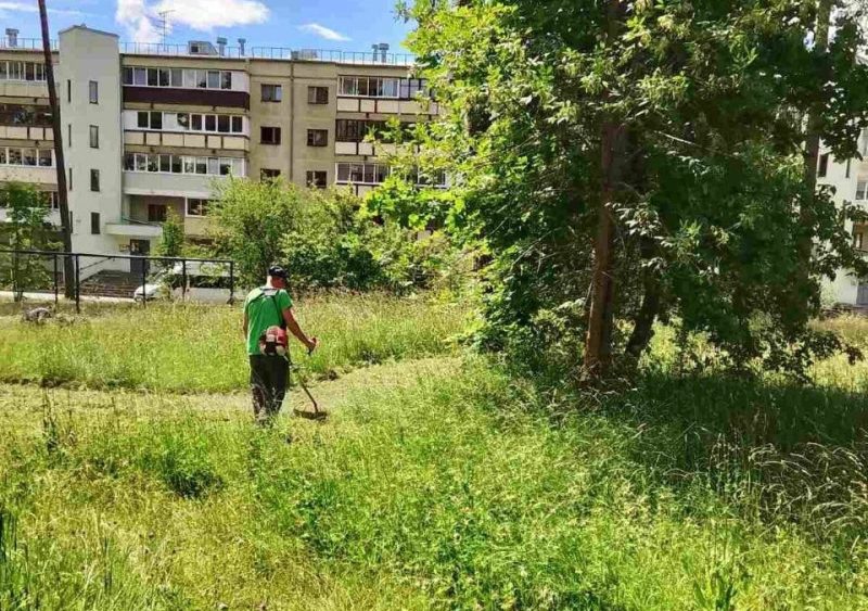 Косцы травы в Борисове. Фото: газета «Адзінства»