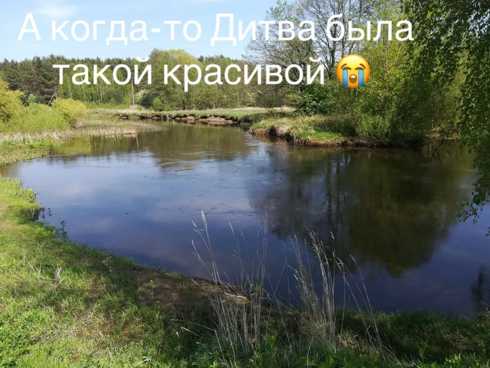 Как раньше выглядела река Дитва. Фото из TikTok