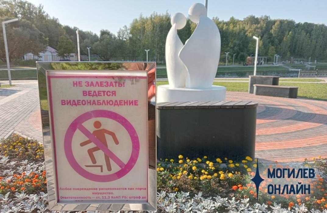 скульптура с камерой видеонаблюдения