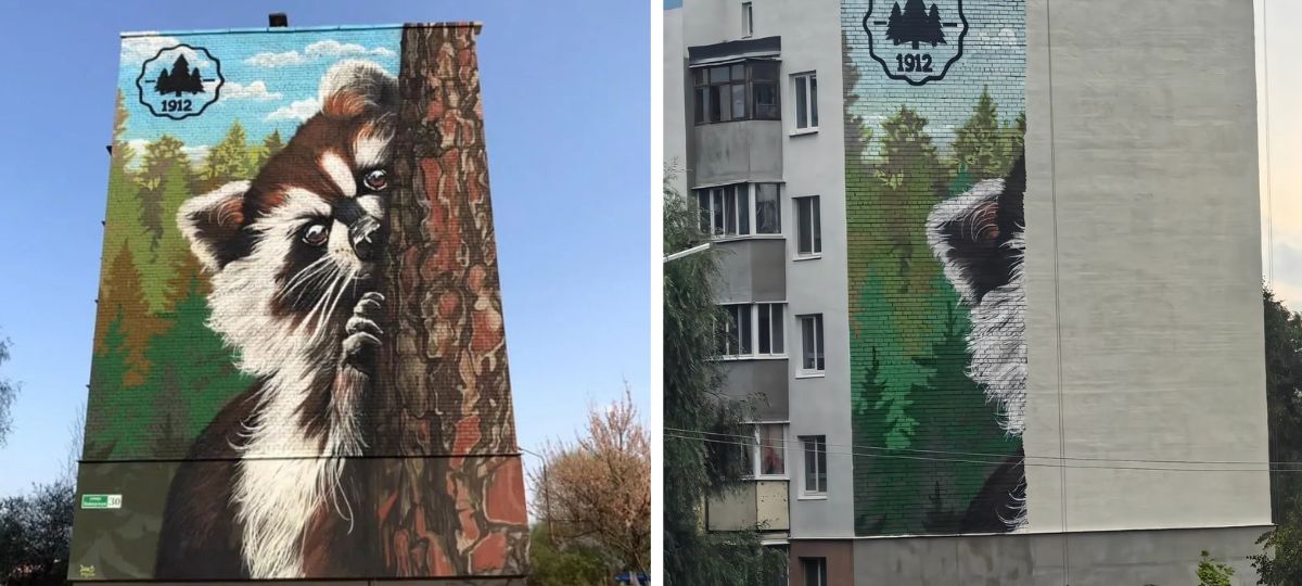Мурал с енотом на стене дома в Борисове