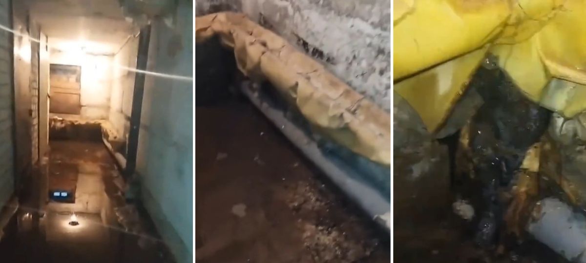 Подвал дома на улице Парковой в агрогородке Жемчужный Барановичского района. Коллаж BGmedia